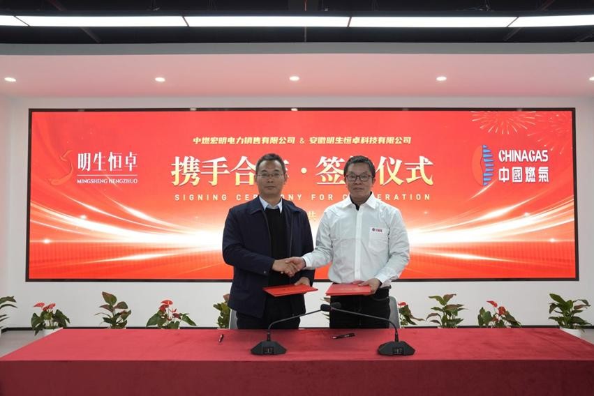 1支海上运输船队和多支陆上危运车队