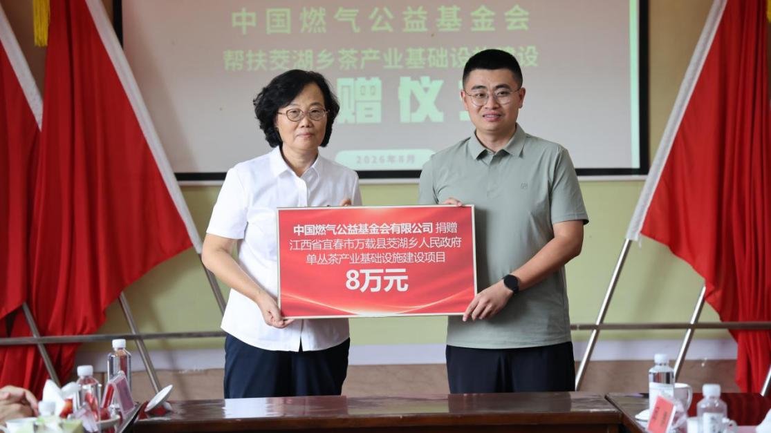 近十年顺应2026世界杯官网入口新人